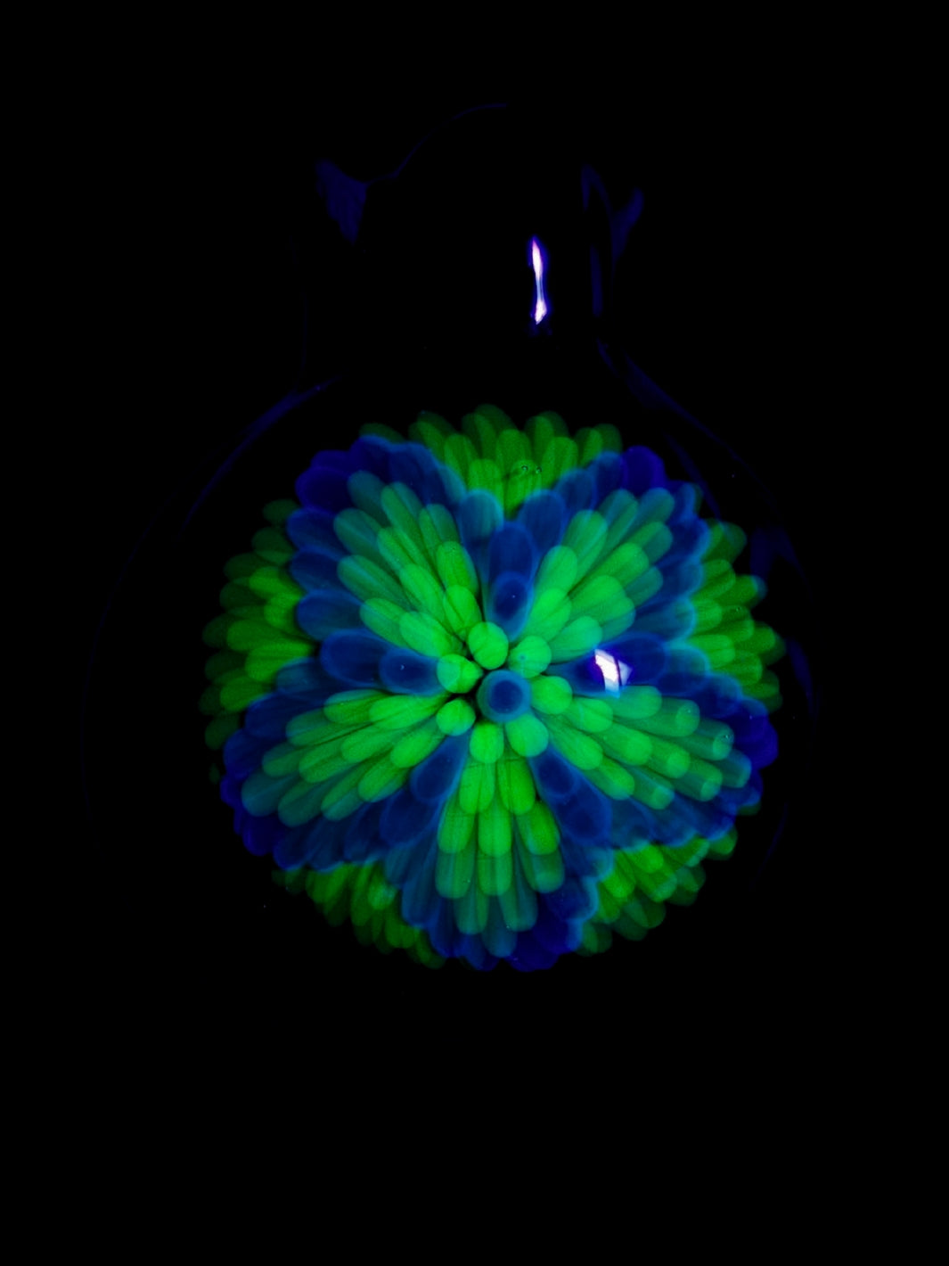 UV Flower Implosion Pendant - OopaziGlass