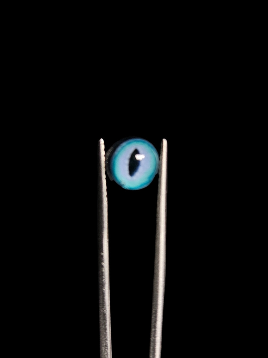 Lizzard Eye #5 Terp Pearl - NuzzyGlass