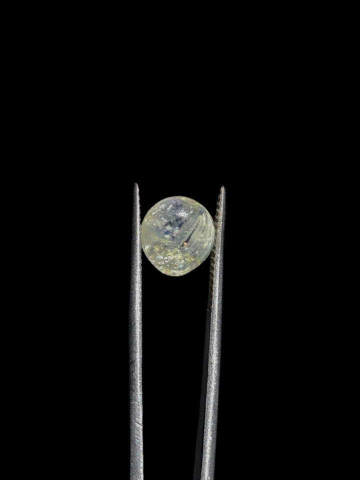 Oblong Slurper Terp Pearl Set #1 - NuzzyGlass