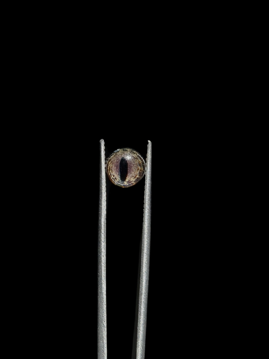 Lizard Eye Slurper Terp Pearl Set #1 - NuzzyGlass