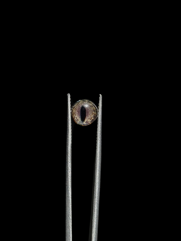 Lizard Eye Slurper Terp Pearl Set #1 - NuzzyGlass