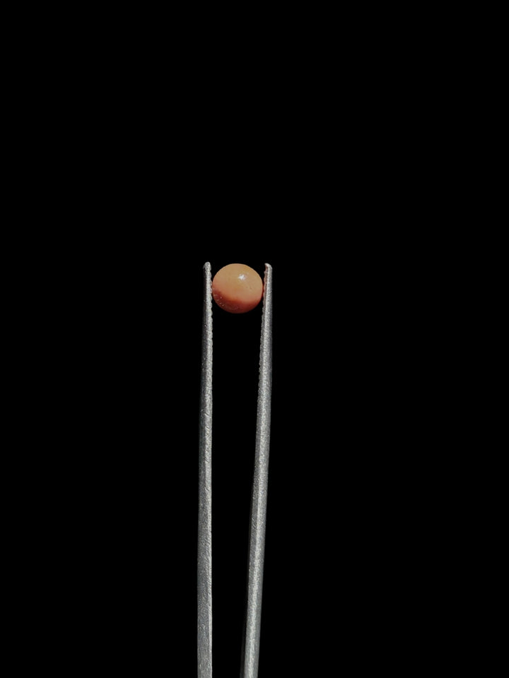 Fumed Spiral Slurper Terp Pearl Set - NuzzyGlass